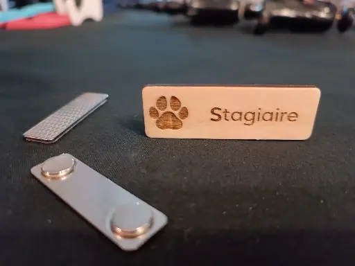 [LASER00J] BADGE CP + CLIP AIMANT