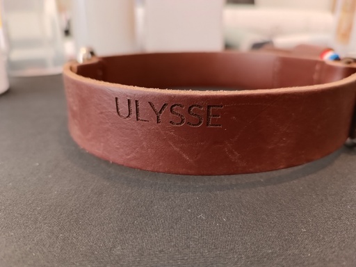 [LASER00F] GRAVURE COLLIER CHIEN